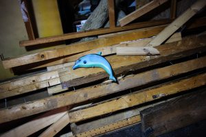 Blue dolphin